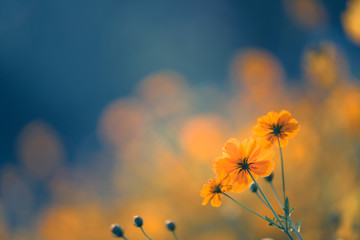 【中南财经政法大学研究生招生简章,西南政法大学2026研究生招生简章】