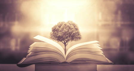 【中南财经政法大学研究生招生简章,西南政法大学2026研究生招生简章】