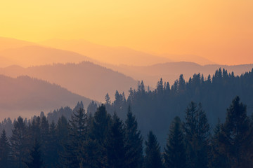 计算机二级考试报名官网（计算机二级考试报名官网时间）