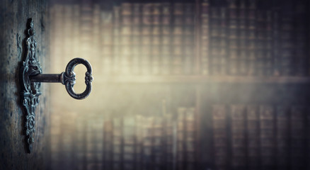 ynzscn云南招生网站（ynzscn云南招生网站官网）