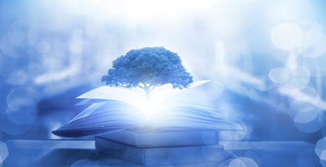 学士学位和本科的区别/学士学位和本科一样吗