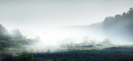 往届高考考生号查询入口/往届高考考生号查询入口官网