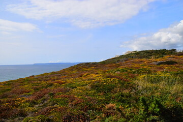 广西省考进面名单公布（广西省考进面分数）