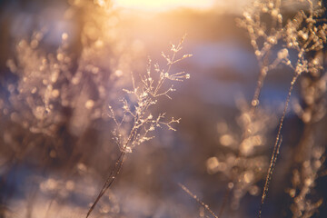 【中南财经政法大学研究生招生简章,西南政法大学2026研究生招生简章】