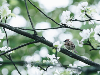 【浙江公务员考试网官网,浙江公务员考试网官网报名】