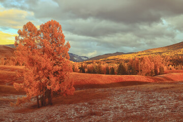 往届高考考生号查询入口/往届高考考生号查询入口官网