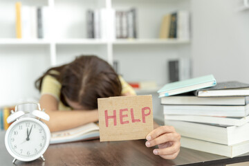 【中南财经政法大学研究生招生简章,西南政法大学2026研究生招生简章】