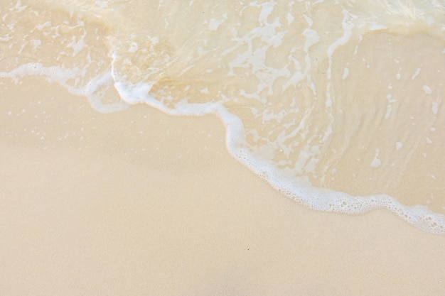 ynzscn云南招生网站（ynzscn云南招生网站官网）