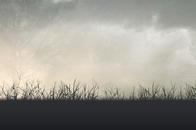 ynzscn云南招生网站（ynzscn云南招生网站官网）