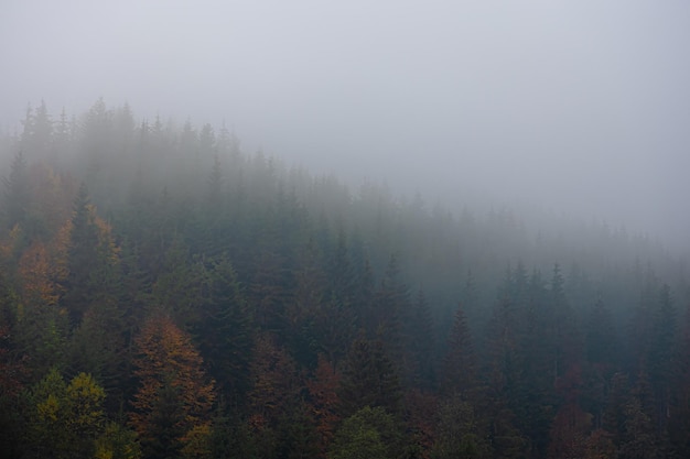 【中南财经政法大学研究生招生简章,西南政法大学2026研究生招生简章】