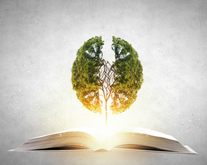 学信网查往年高考成绩（往届高考成绩怎么查询）