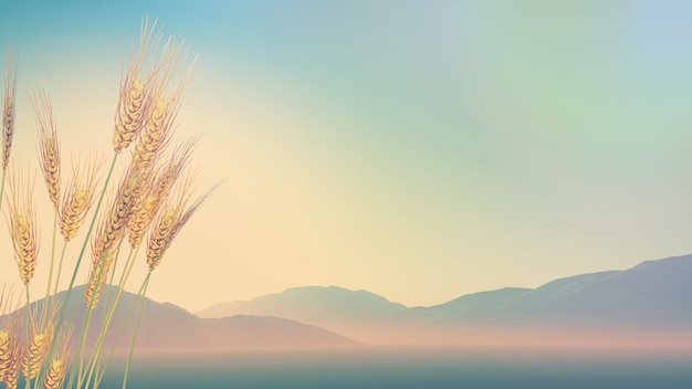 学士学位和本科的区别/学士学位和本科一样吗