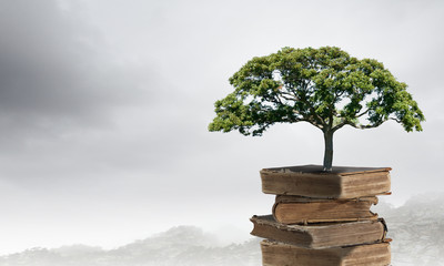 四川高考教育考试院官网/四川高考考试网官网