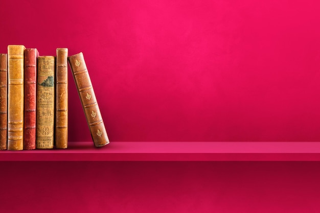 ynzscn云南招生网站（ynzscn云南招生网站官网）