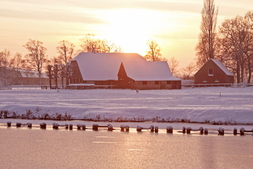 ynzscn云南招生网站（ynzscn云南招生网站官网）