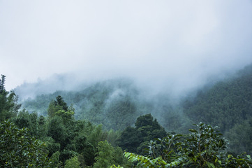 2022年高考语文作文满分范文（2022年高考语文作文满分范文大全）